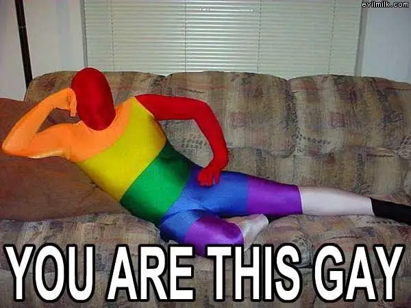 You Are This Gay Rainbow Suit Greenman