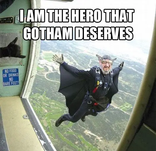 Im the Hero That Gotham Deserves