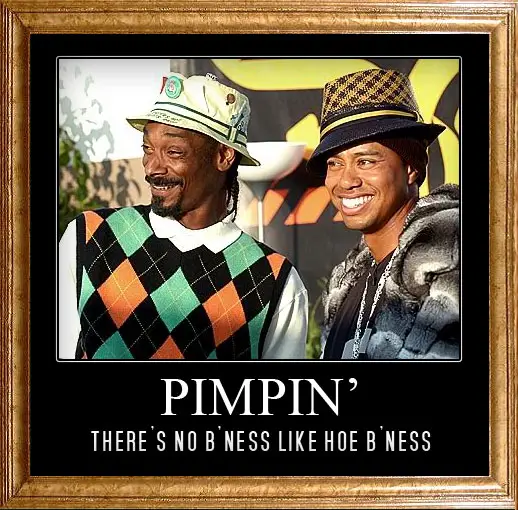 Pimpin Tiger and Snoop
