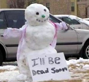 Snowman I'll Be Dead Soon