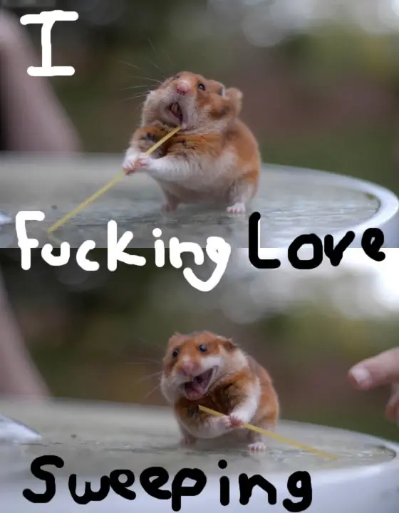 Gerbil Hamster Loves Sweeping