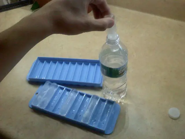 Ice Cubes for Bottled Water