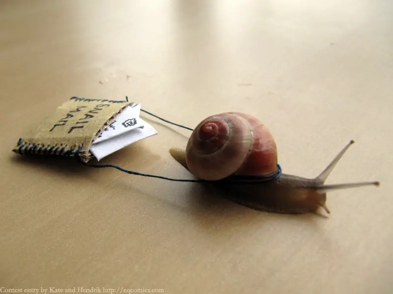 snail carries mail bag 