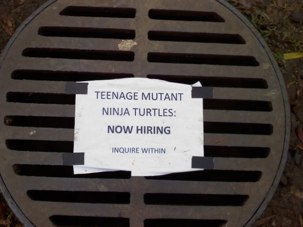 Teenage Mutant Ninja Turtles Now Hiring