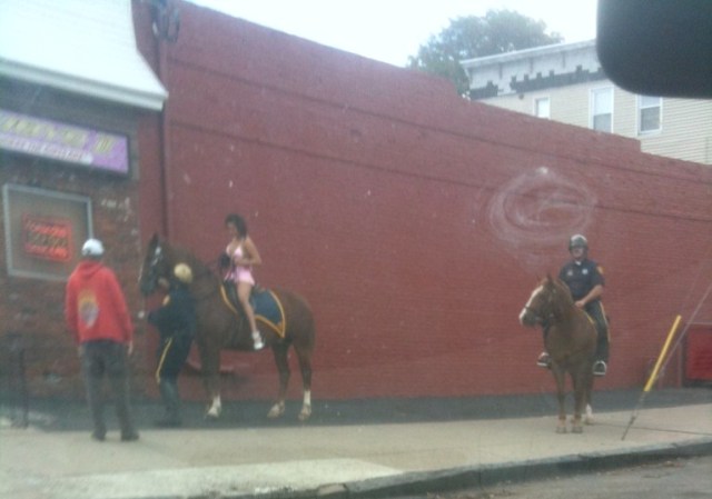 police horse strippers