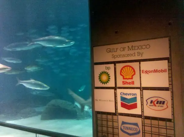 gulf of mexico sponsored by bp